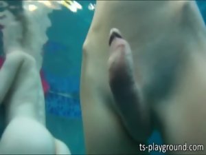 Whorish shemale dolls find enjoyment in fellatio and banging in an intense pool orgy