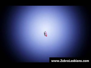 Zebra Lezzies - Sexual black lezbo slutty chicks fuck white saucy teens 22